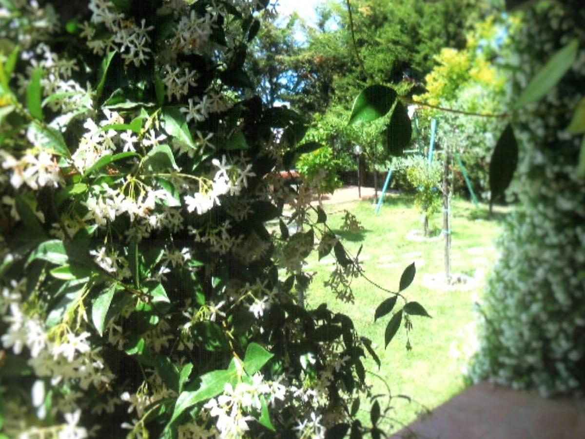 B&B Hibiscus Agropoli Luaran gambar