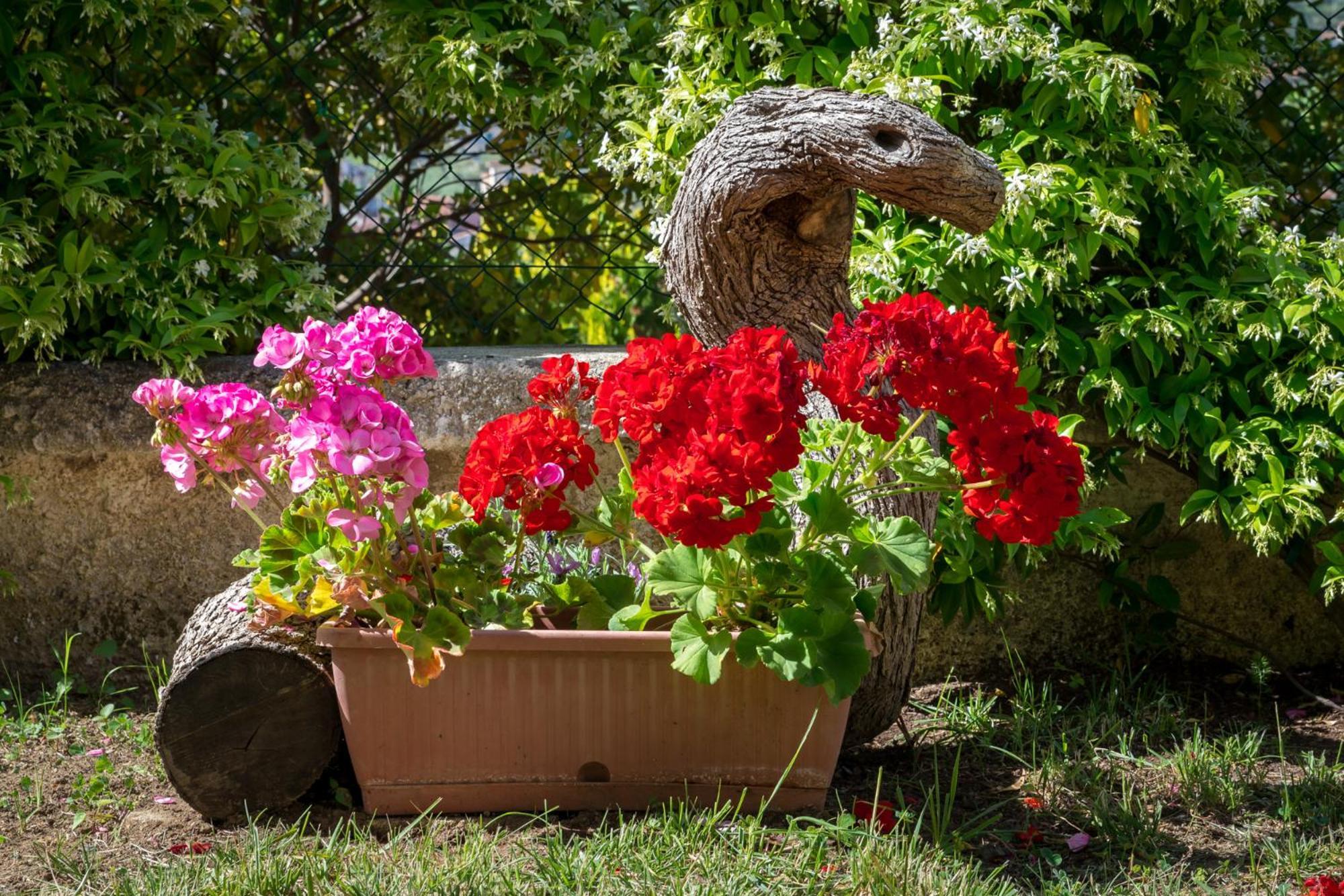 B&B Hibiscus Agropoli Luaran gambar